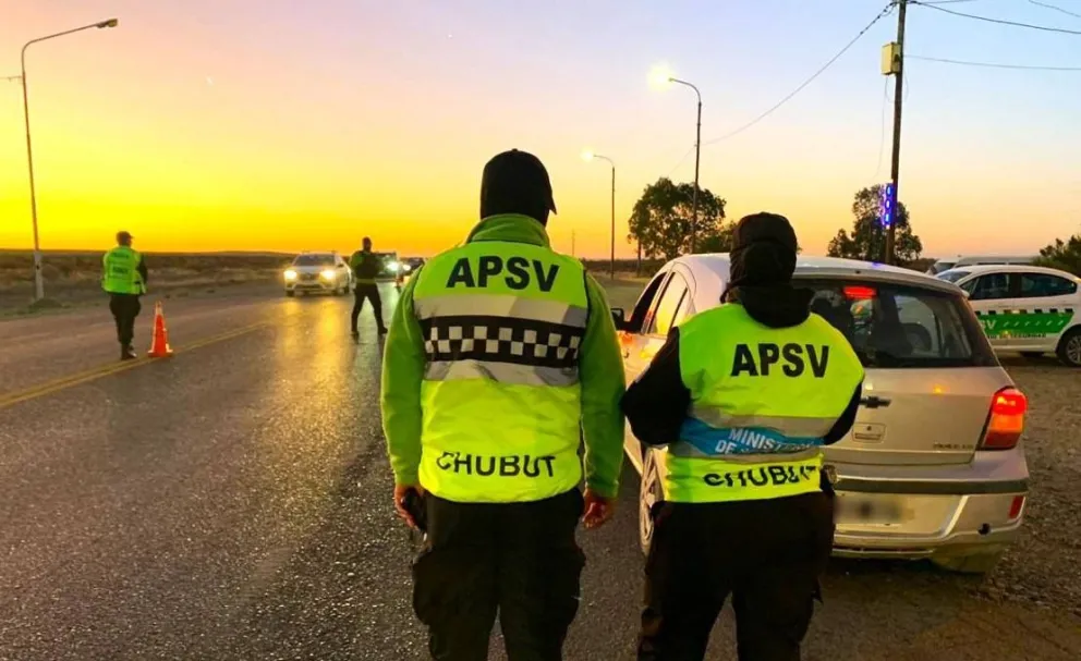 Verano Seguro: Provincia controló cerca de 10.000 vehículos y retiró a 45 conductores alcoholizados de la vía pública