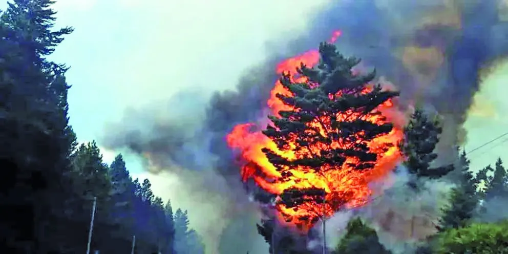 Torres reiteró que los incendiarios son delincuentes y terminarán presos