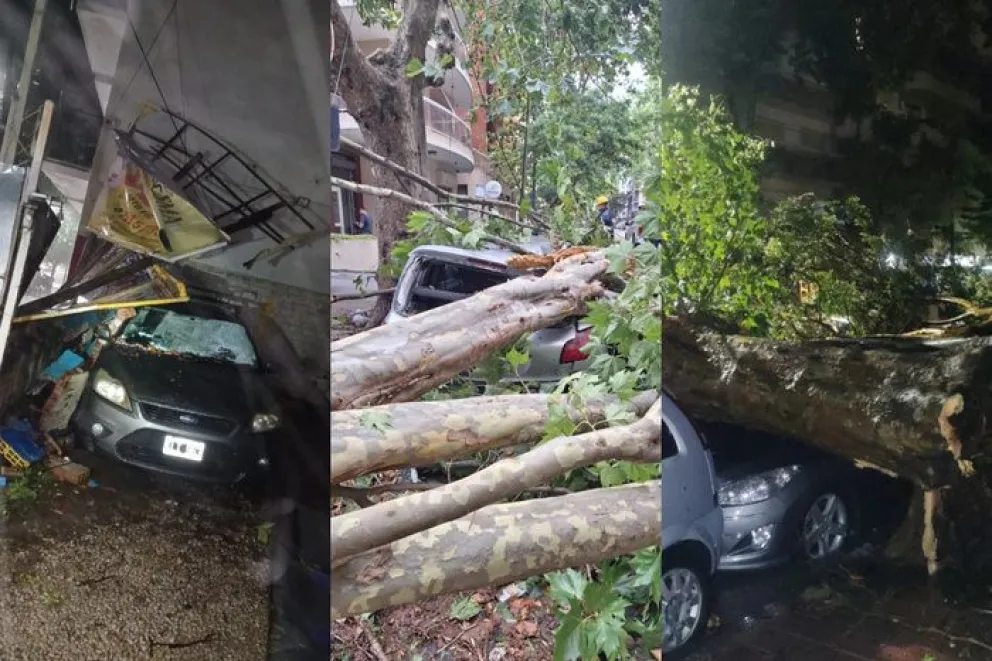 Temporal en Mar del Plata: calles anegadas y graves destrozos por lluvias, viento y granizo