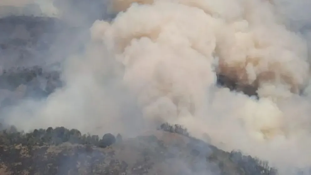 Incendio en el Parque Nacional Lanín: Más de 4.000 hectáreas afectadas y emergencia en el Valle Magdalena