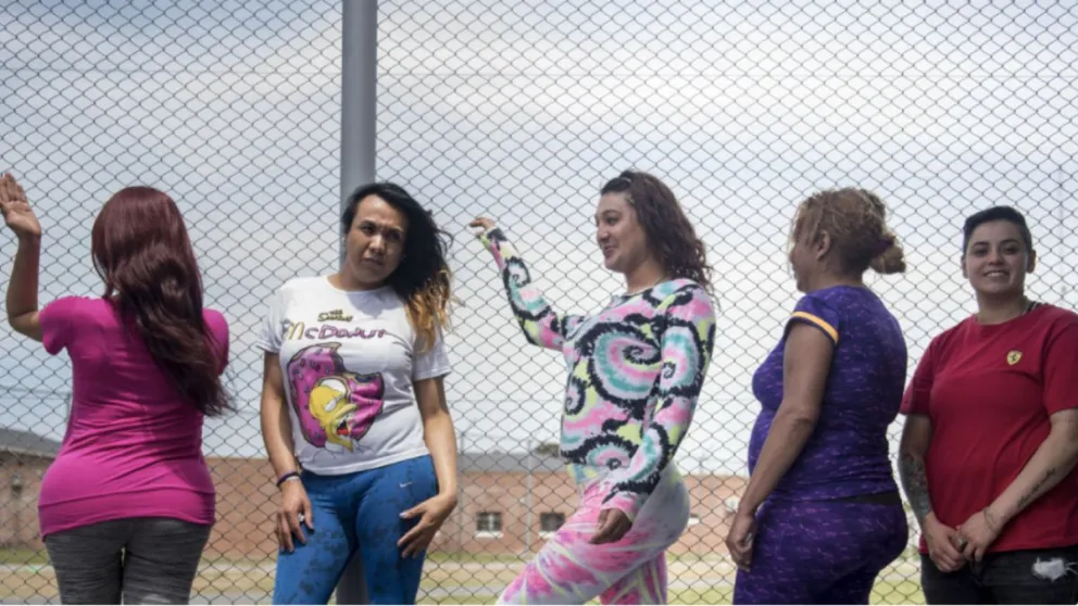 El Gobierno anuncia cambios en la Ley de Identidad de Género: prohíbe hormonización a menores y traslados de presos por autopercepción