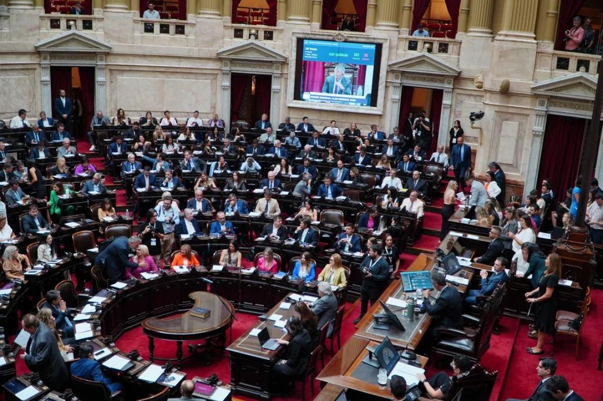 Diputados aprobó la suspensión de las PASO 