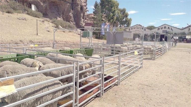 Este viernes comienza la 101ª Edición de la Exposición y Feria Ganadera de Puerto Deseado