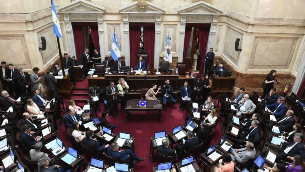 La suspensión de las PASO: Crece la expectativa por la decisión que tomará el Senado