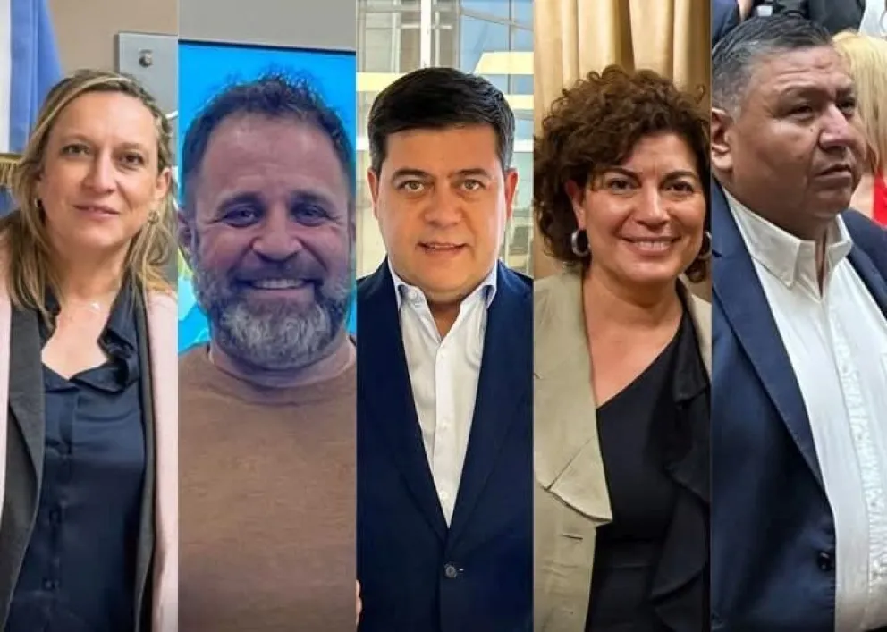 Tres votos a favor, uno en contra y una ausencia: Los votos de los diputados por Chubut en la suspensión de las PASO