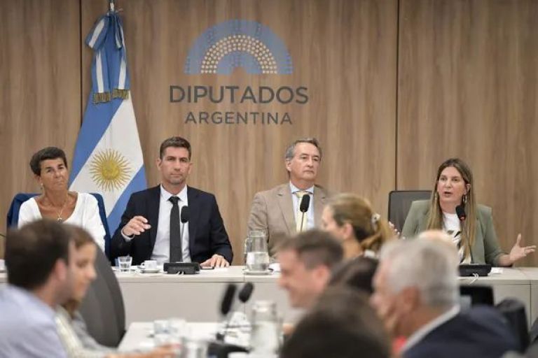 Ficha Limpia se debatirá el próximo miércoles en Diputados tras dos intentos fallidos