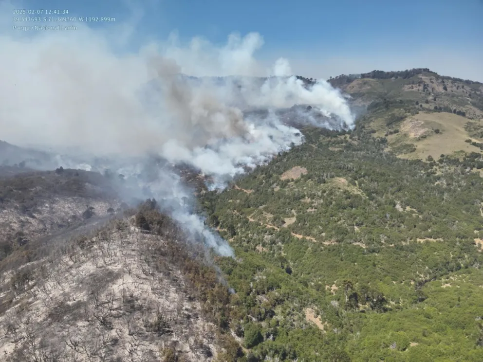 El incendio en el Parque Nacional Lanín sigue activo y ya afecta 7.000 hectáreas