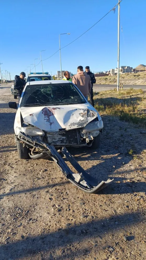Conductor alcoholizado chocó contra palma de alumbrado público y se dio a la fuga