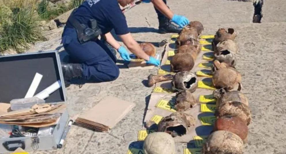 Inquietante hallazgo en Quilmes: 17 cráneos humanos fueron encontrados en la ribera