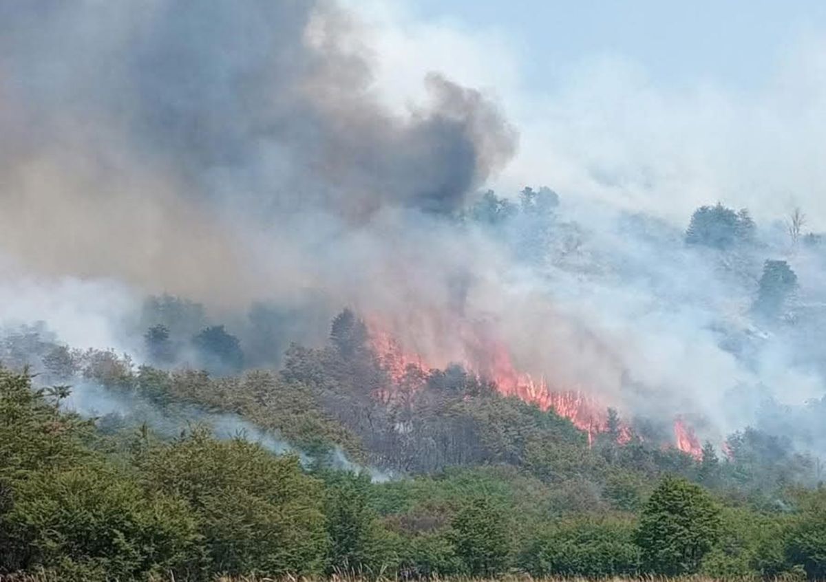 Incendio en el Valle Magdalena: el fuego sigue activo y ya afectó 15.000 hectáreas