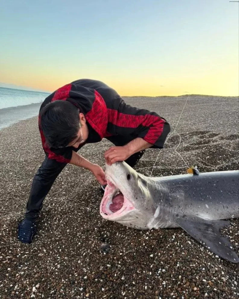 Pescador de Comodoro Rivadavia captura un tiburón de 50 kilos y lo devuelve al mar para preservar el equilibrio ecológico