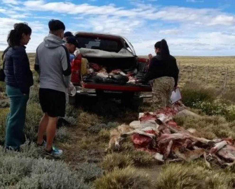 Dos hombres demorados por caza ilegal en Santa Cruz