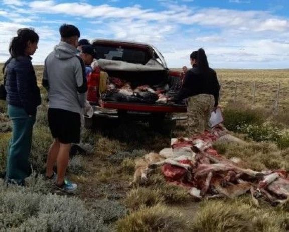 Dos hombres demorados por caza ilegal en Santa Cruz