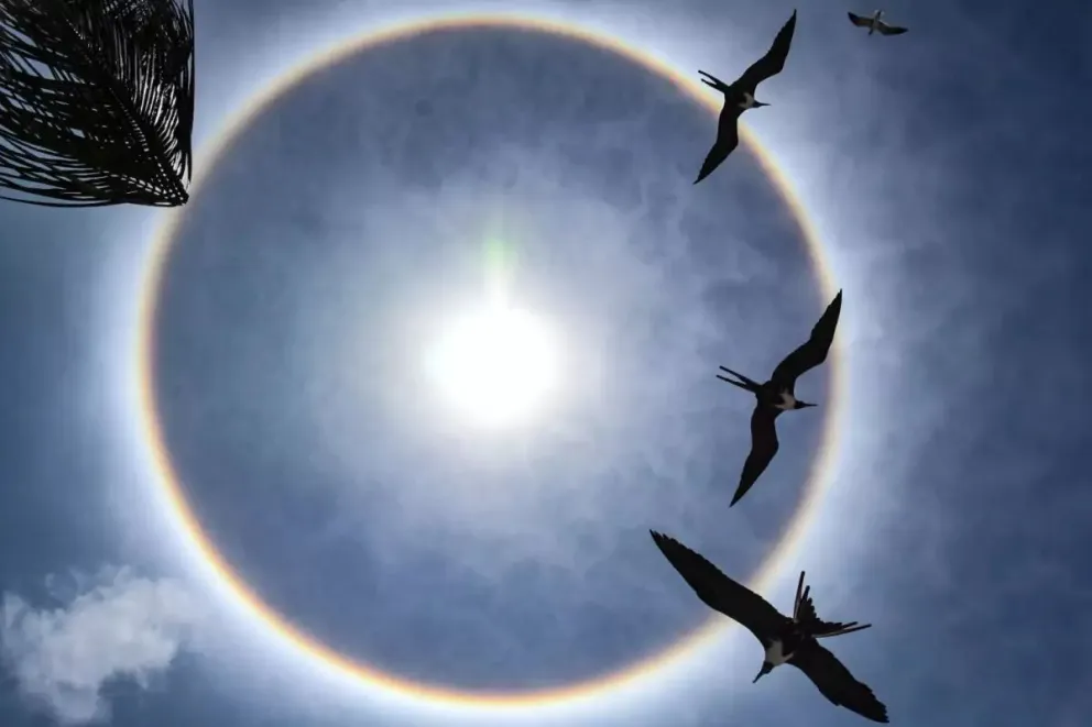  Halo solar: qué es, cómo se forma y si representa un peligro para la salud  