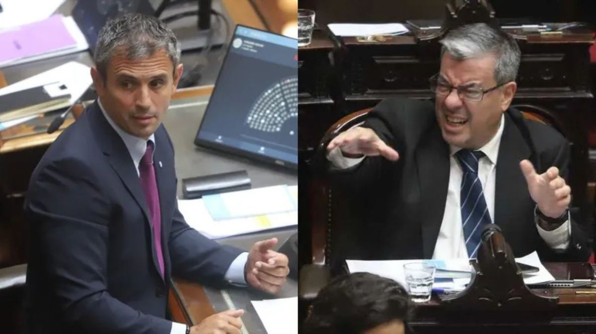 El jefe del bloque de UxP insultó a Martín Menem y lo invitó a pelear en medio de la sesión en Diputados