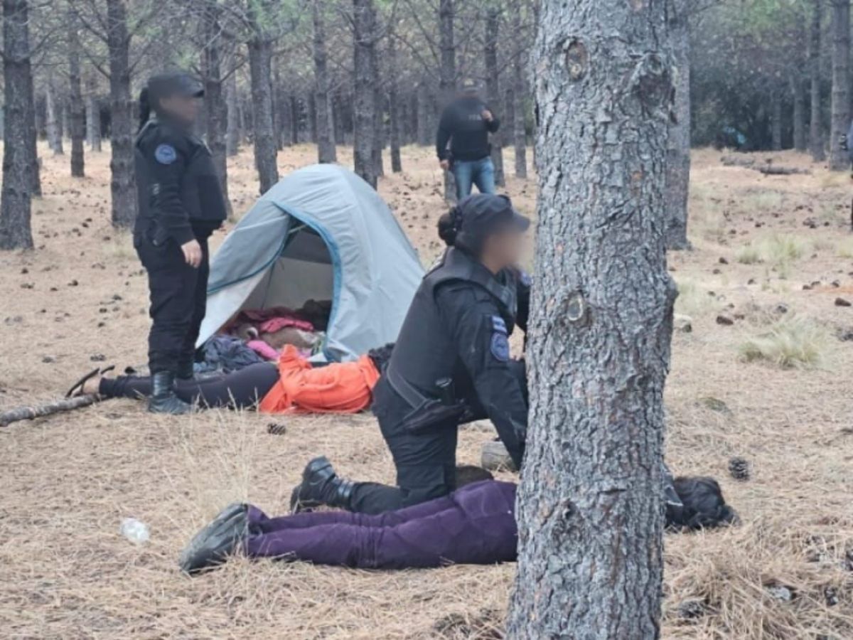 La Policía Federal detuvo a una mujer acusada por los graves incendios forestales en Esquel