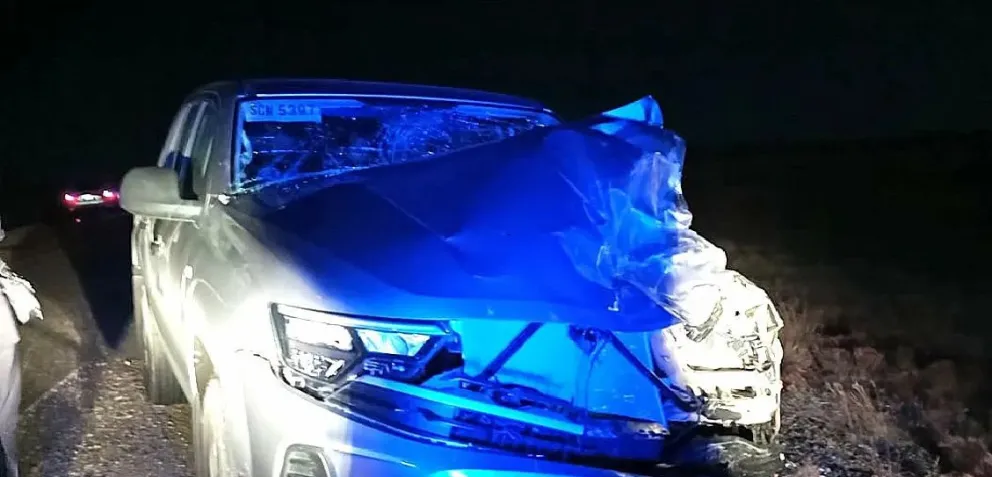 Una camioneta chocó contra un caballo