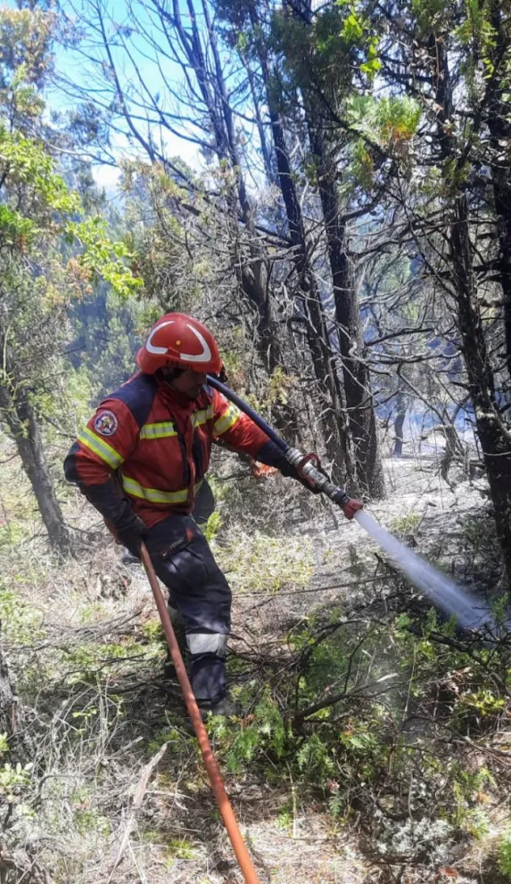 En un rápido despliegue, se controló el incendio forestal en la zona de Los Cipreses
