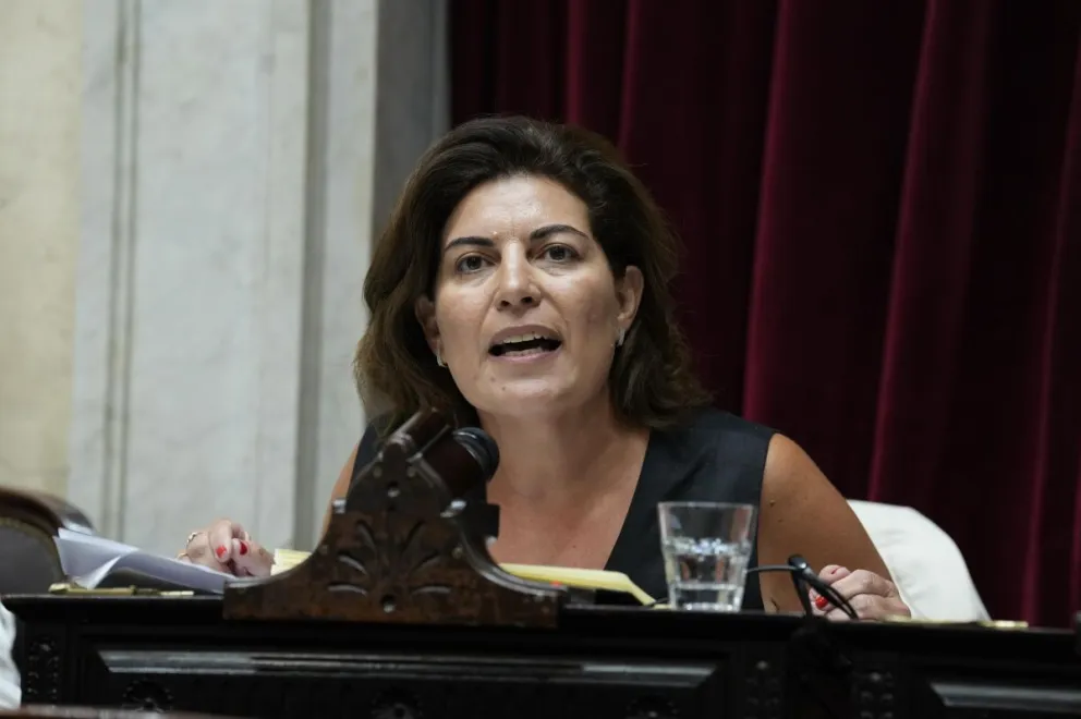 Media sanción para Ficha Limpia: "Con que dejen de robar, nos alcanza", sostuvo Ana Clara Romero