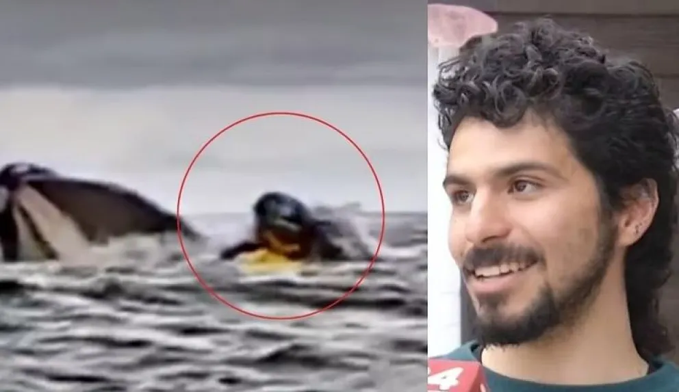 Ya había antecedentes sobre ballenas que engullen personas