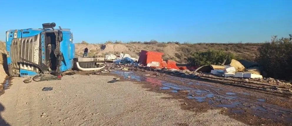 Ruta tapizada de truchas y salmón rosado en el medio del campo