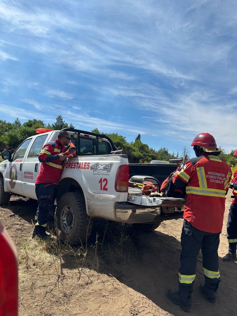 Tras un fuerte operativo se logró extinguir el incendio forestal en la zona de Los Cipreses
