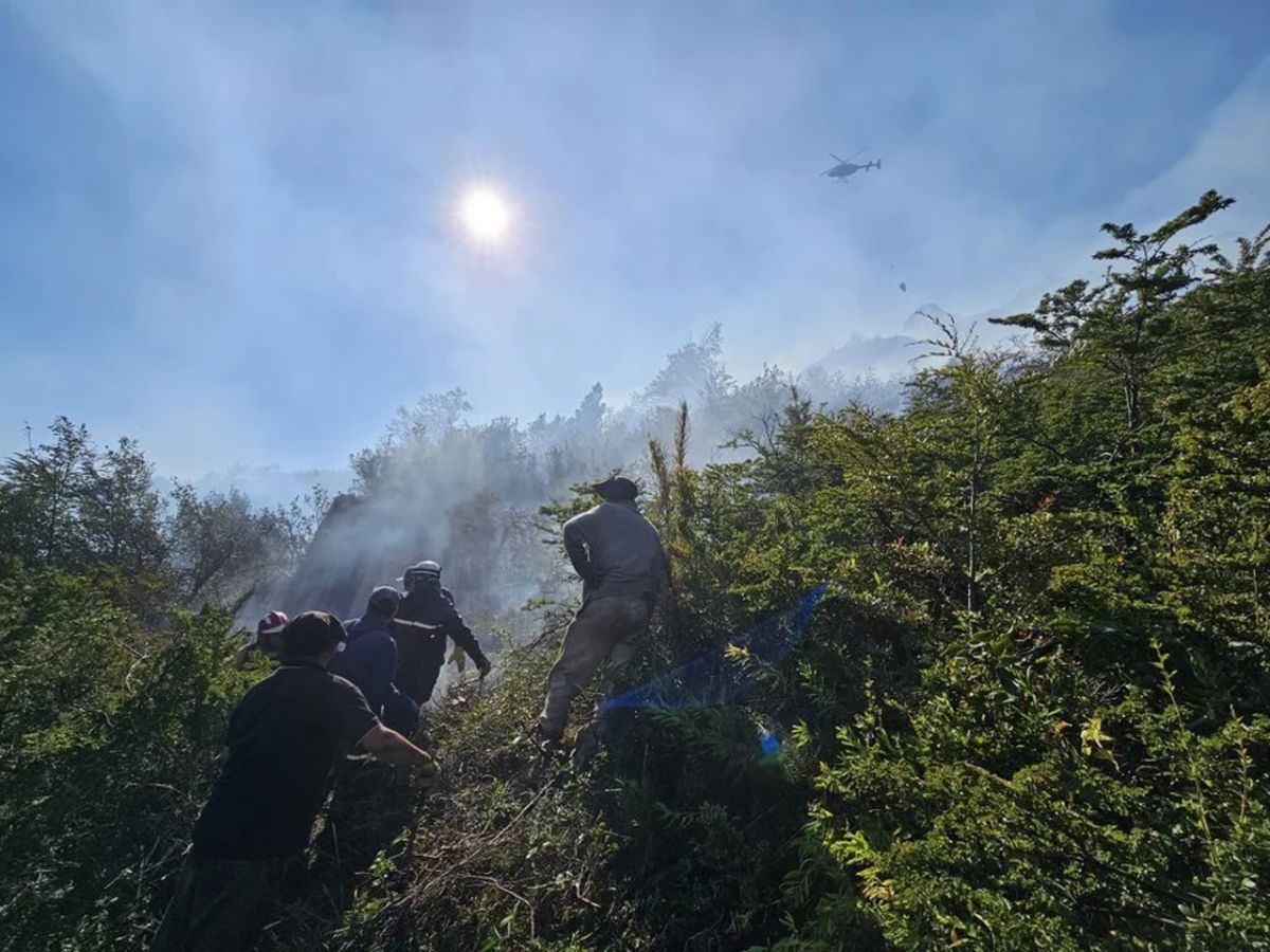 Más de 37 mil hectáreas afectadas por los incendios en la Patagonia