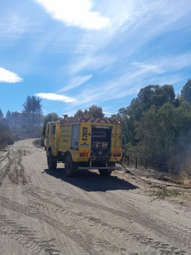 Provincia refuerza el operativo para combatir el incendio forestal en la zona de Trevelin