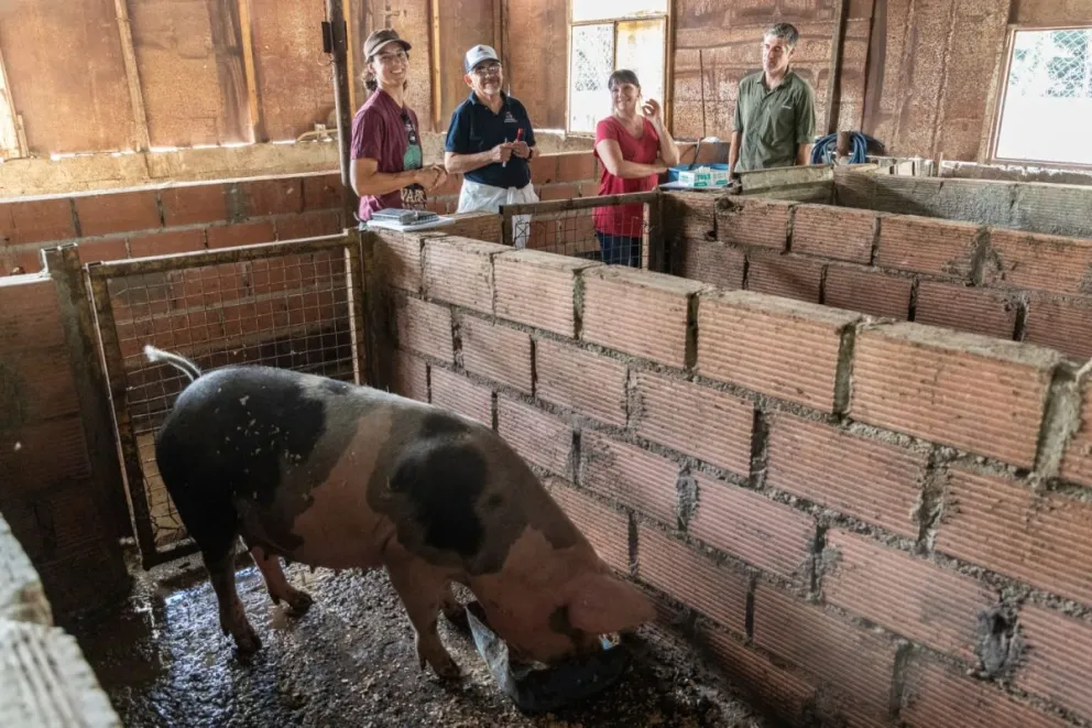 Comodoro Conocimiento y ADENEU recorrieron chacras de productores porcinos de la ciudad