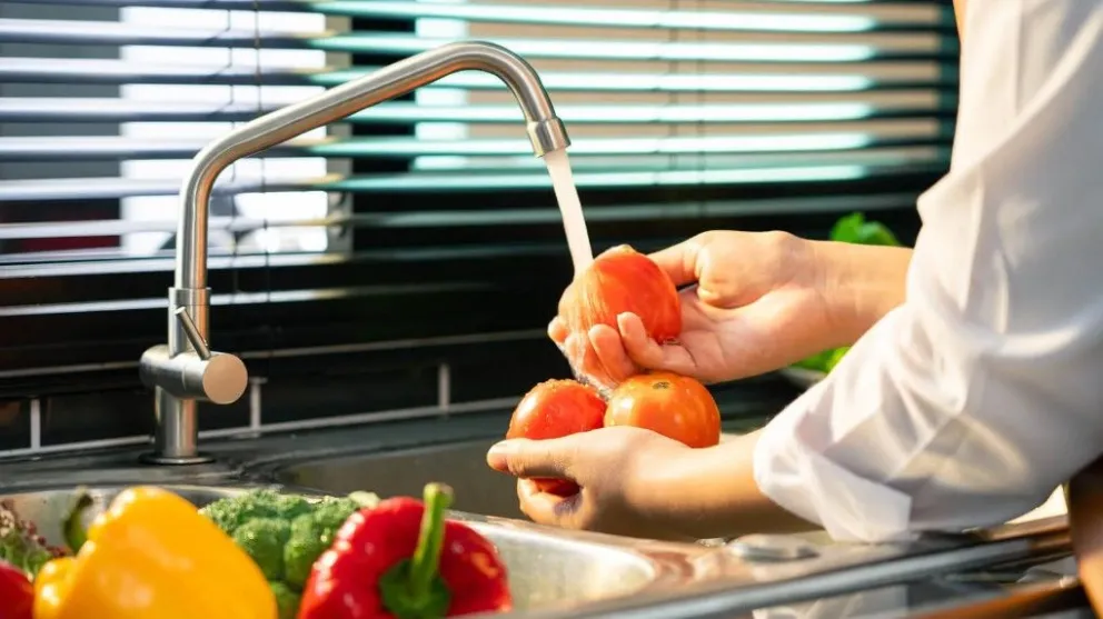 El 40% de las enfermedades transmitidas por alimentos ocurren en los hogares: ¿Cómo prevenirlas? 