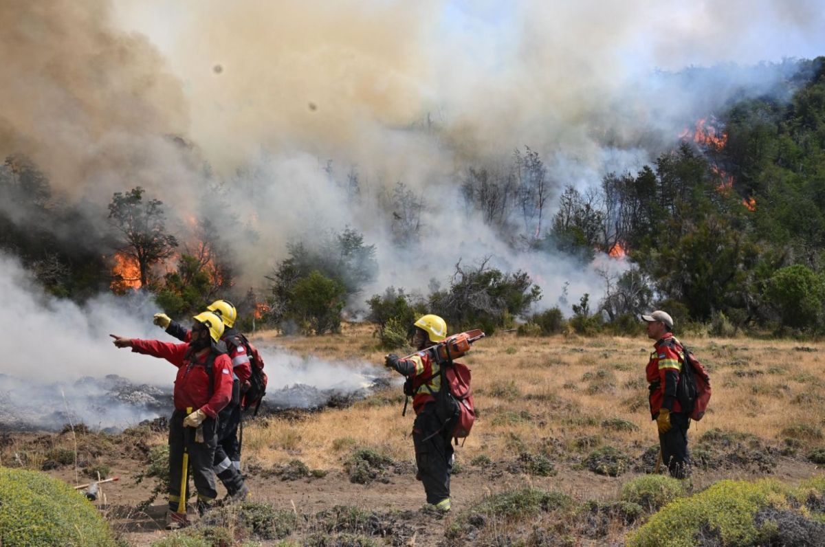 Obispos de la Patagonia expresaron su preocupación por los incendios en la región