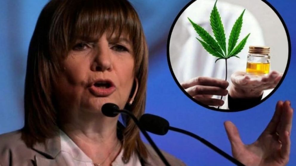 El gobierno nacional eliminará 300.000 permisos del REPROCANN y reiniciará el registro