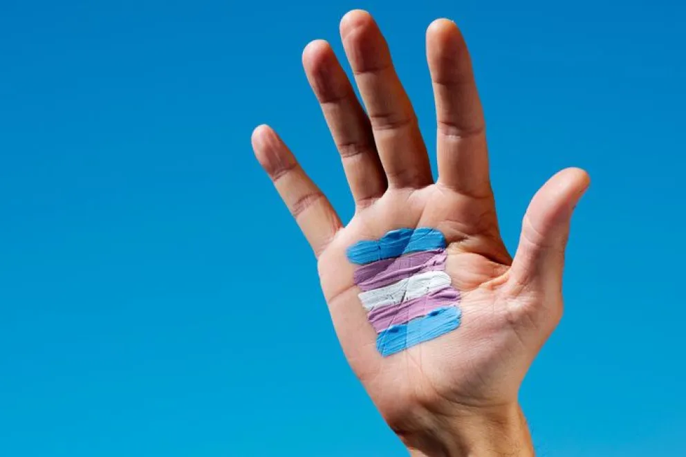 Adolescentes trans van a la Justicia contra el decreto de Milei que prohíbe terapias hormonales