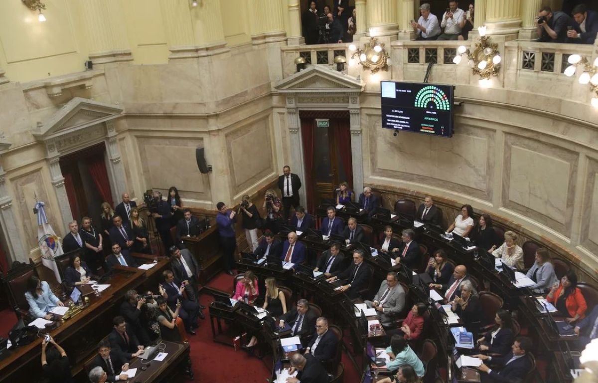 El Senado sancionó la ley que suspende las PASO para este año