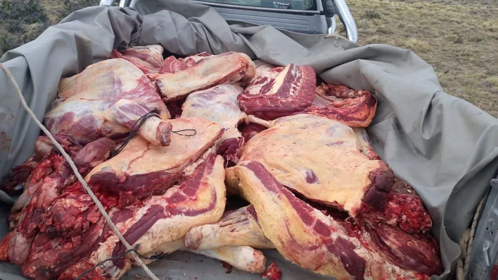 Detienen a un hombre faenando animales vacunos en una estancia deshabitada