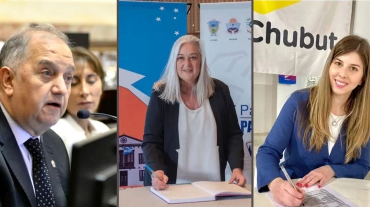 Suspensión de las PASO: Cómo votaron los senadores de Chubut