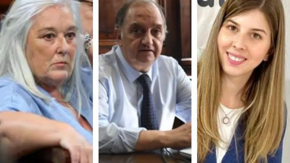 Suspensión de las PASO: Cómo votaron los senadores de Chubut