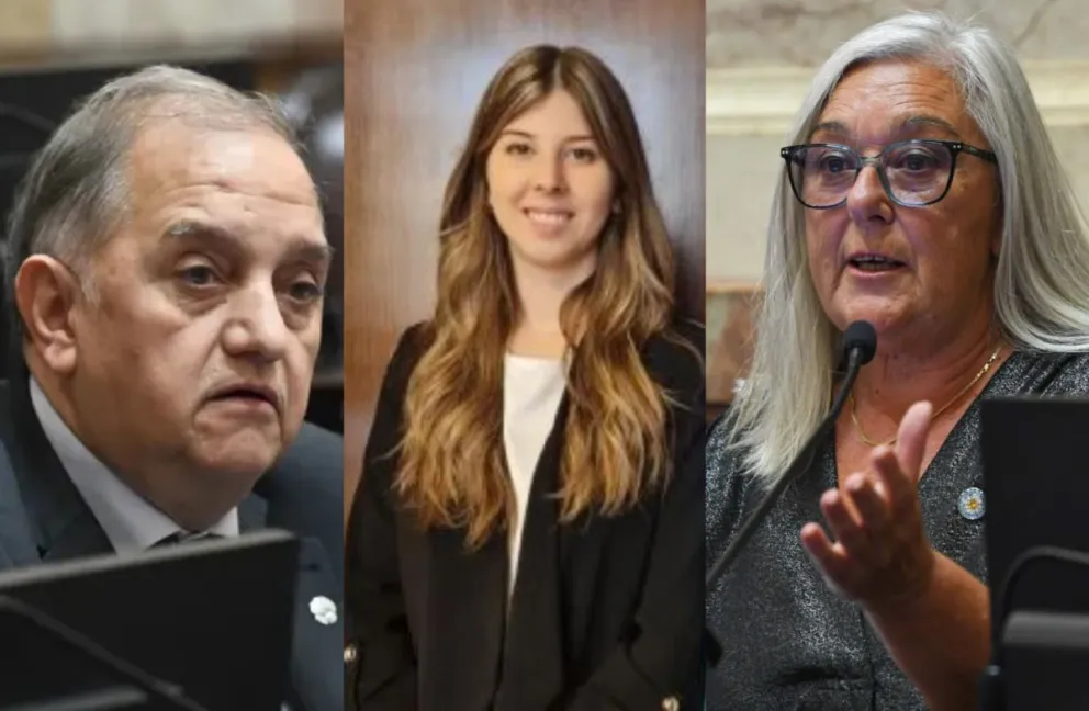 "Criptogate": Cómo fue el voto de los senadores de Chubut para conformar una comisión investigadora 