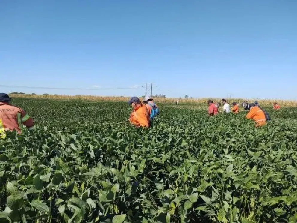 Búsqueda de Lian: secuestraron una camioneta y tres celulares