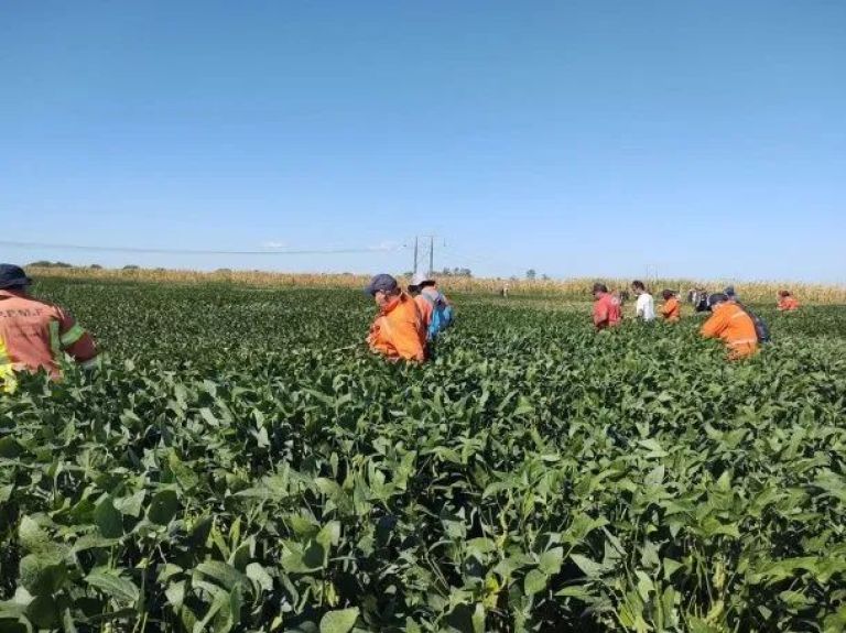 Búsqueda de Lian: secuestraron una camioneta y tres celulares