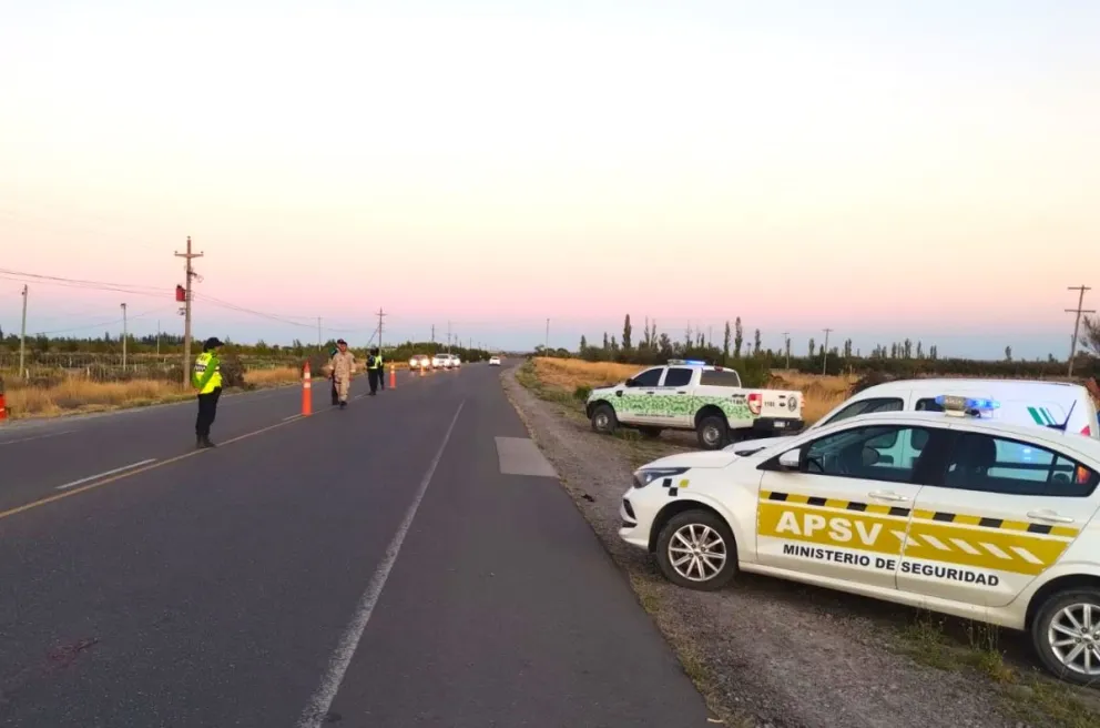 Verano Seguro: Provincia controló más de 12.000 vehículos y retiró a 97 conductores alcoholizados de la vía pública