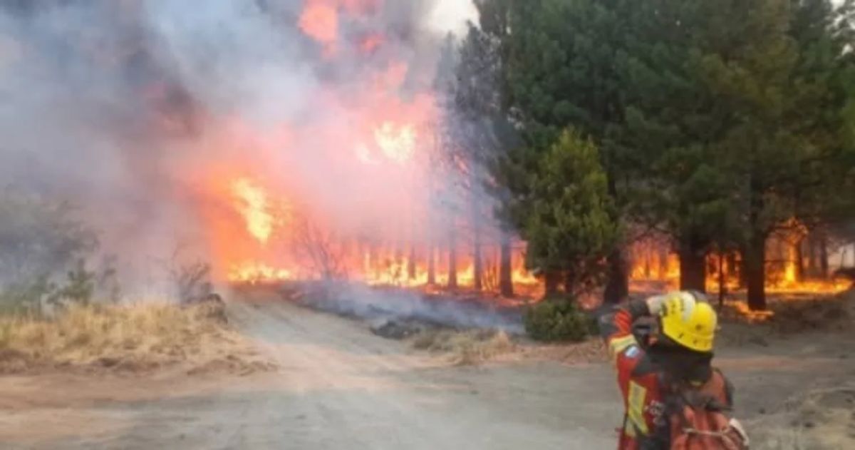 Incendio en la Huella de Los Rifleros: el viento reactivó el fuego que ya afectó más de 2000 hectáreas