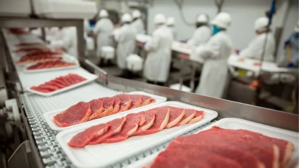 El Municipio lanza convocatoria para emprendimientos gastronómicos de origen animal