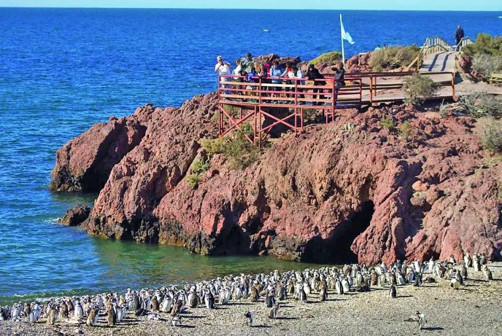 Punta Tombo: amplían el área protegida sin expropiar tierras