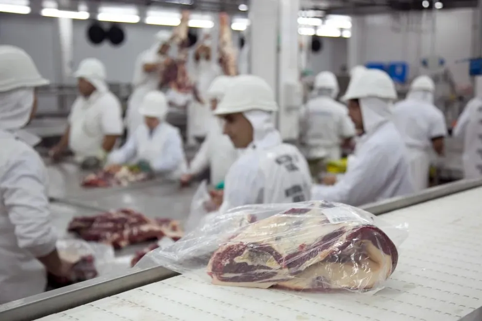 Las exportaciones de carne superaron las 900 mil toneladas en 2024