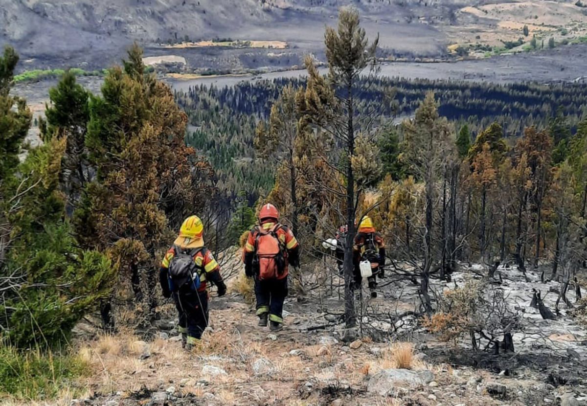 Luego de un fuerte despliegue de brigadistas y medios aéreos, se logró contener el incendio forestal iniciado en la zona de Trevelin
