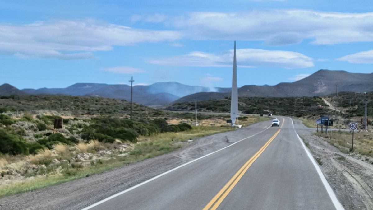 Importante incendio de pastizales en Ruta 3: bomberos trabajan desde el mediodía para extinguir las llamas