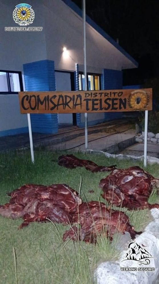 Incautan 250 kilos de carne de guanaco en control policial en Telsen