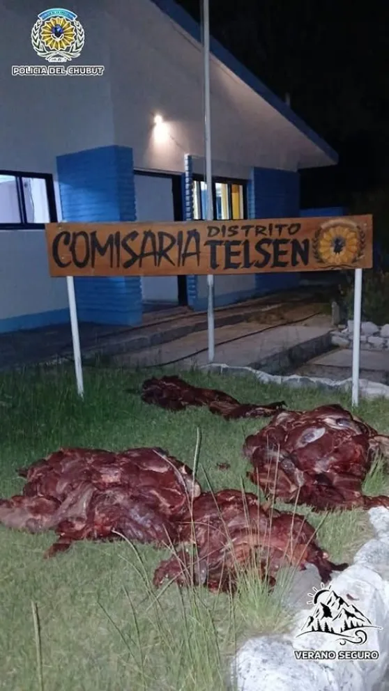 Incautan 250 kilos de carne de guanaco en control policial en Telsen