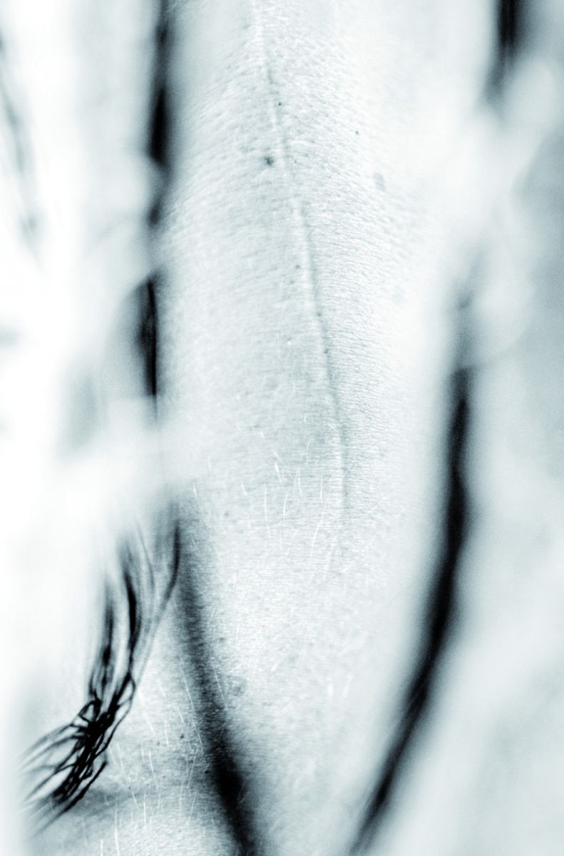 Día de la Mujer en Madryn: Inauguran la muestra “Cuerpos cosidos” en el MuMA 